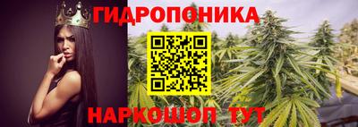 стаф Славянск-на-Кубани