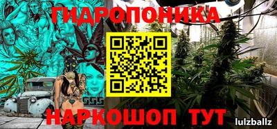 кристаллы Сланцы