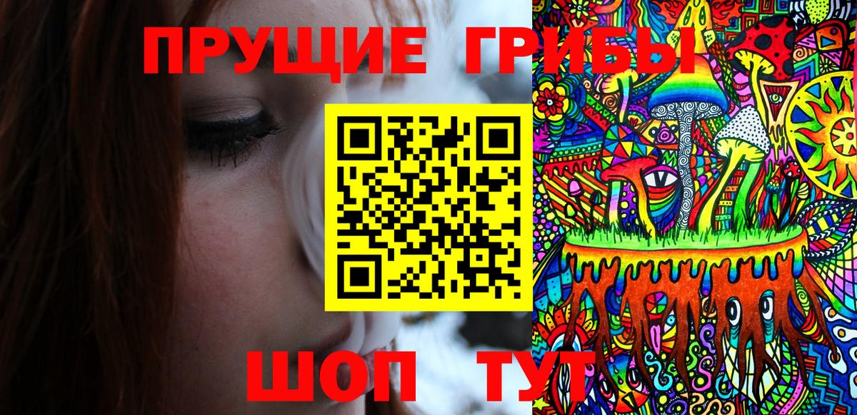 Псилоцибиновые грибы ЛСД Моздок