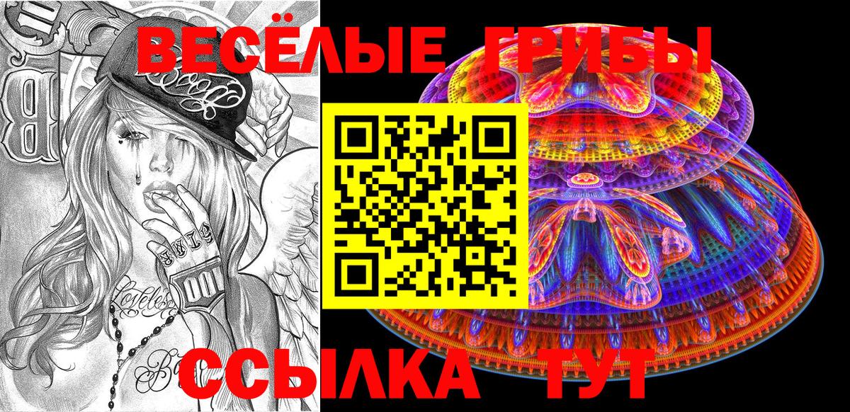 Моздок  Псилоцибиновые грибы мухоморы  Вход с VPN 